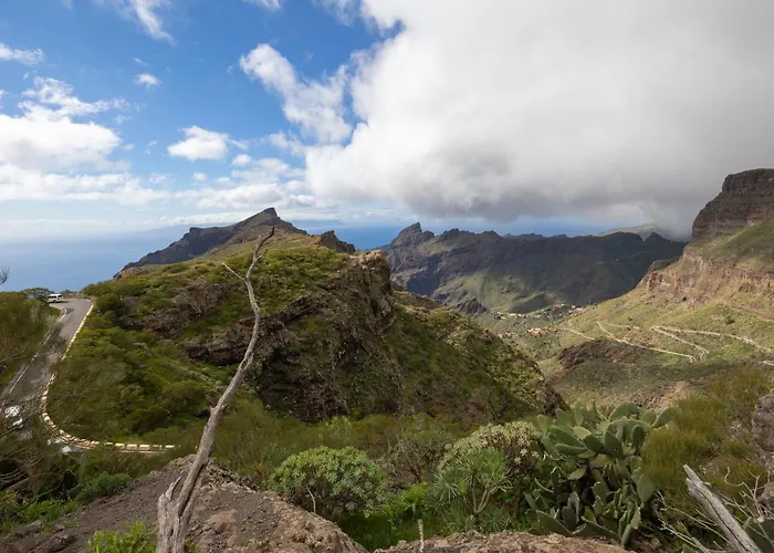 Oceano Infinito Aloha Garden